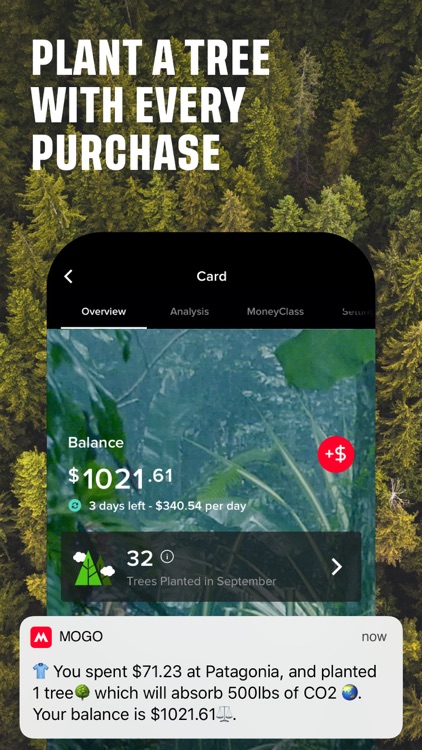 mogo plant a tree with every purchase promo