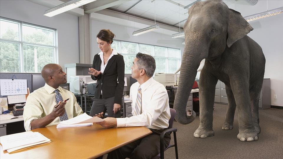 elephant in the room stock image