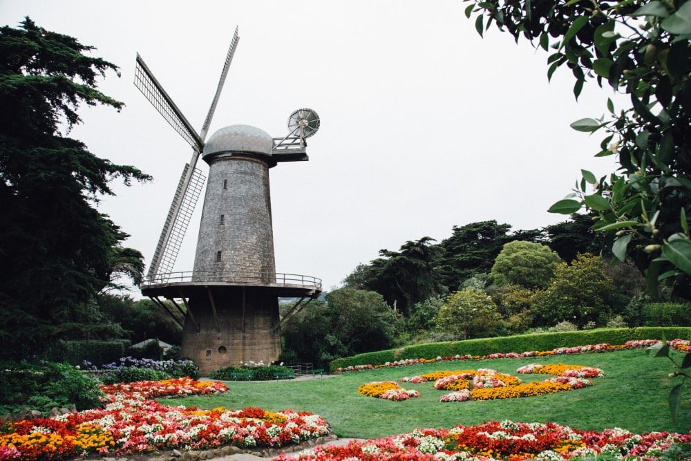 Windmill in Golden Gate Park
