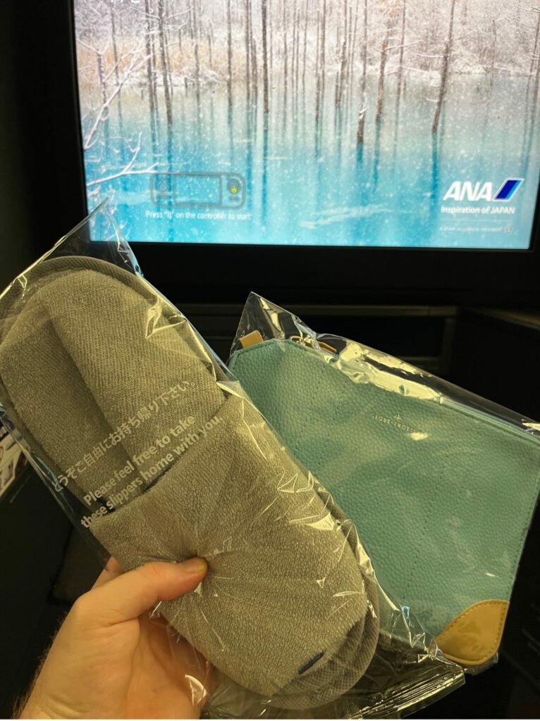 ana the room business class slippers