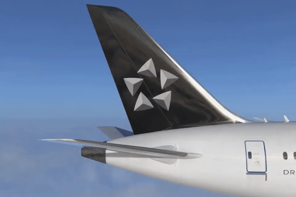 The Complete Guide to Star Alliance Gold Status | Frugal Flyer