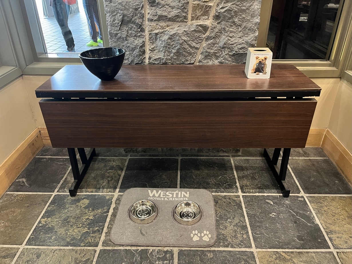 westin resort and spa whistler dog amenities