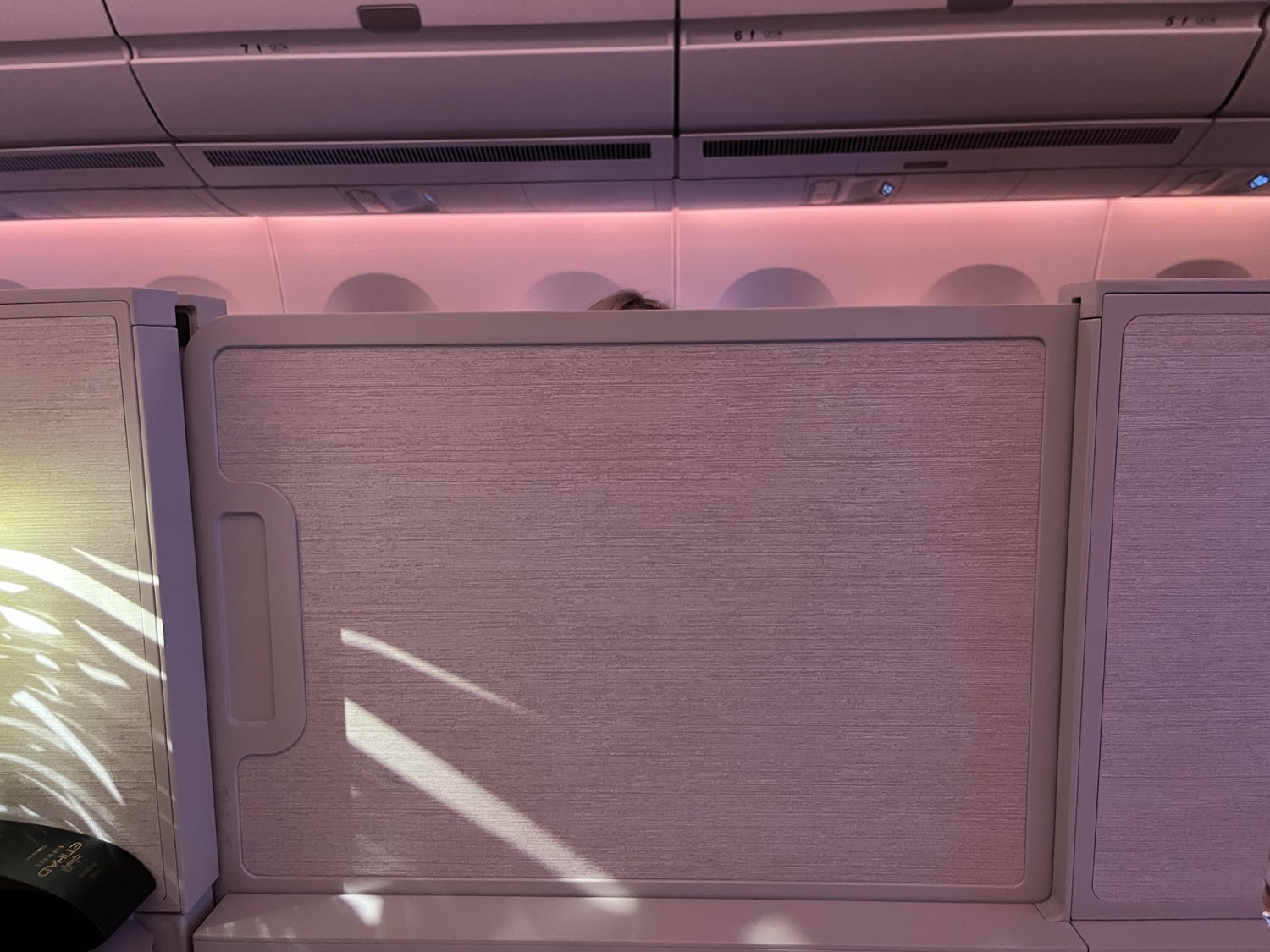 etihad airways business class a350 privacy partition