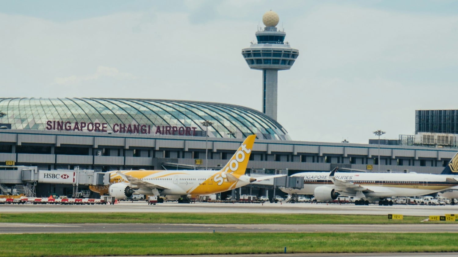 Scoot plane parked at Singapore Changi airport.