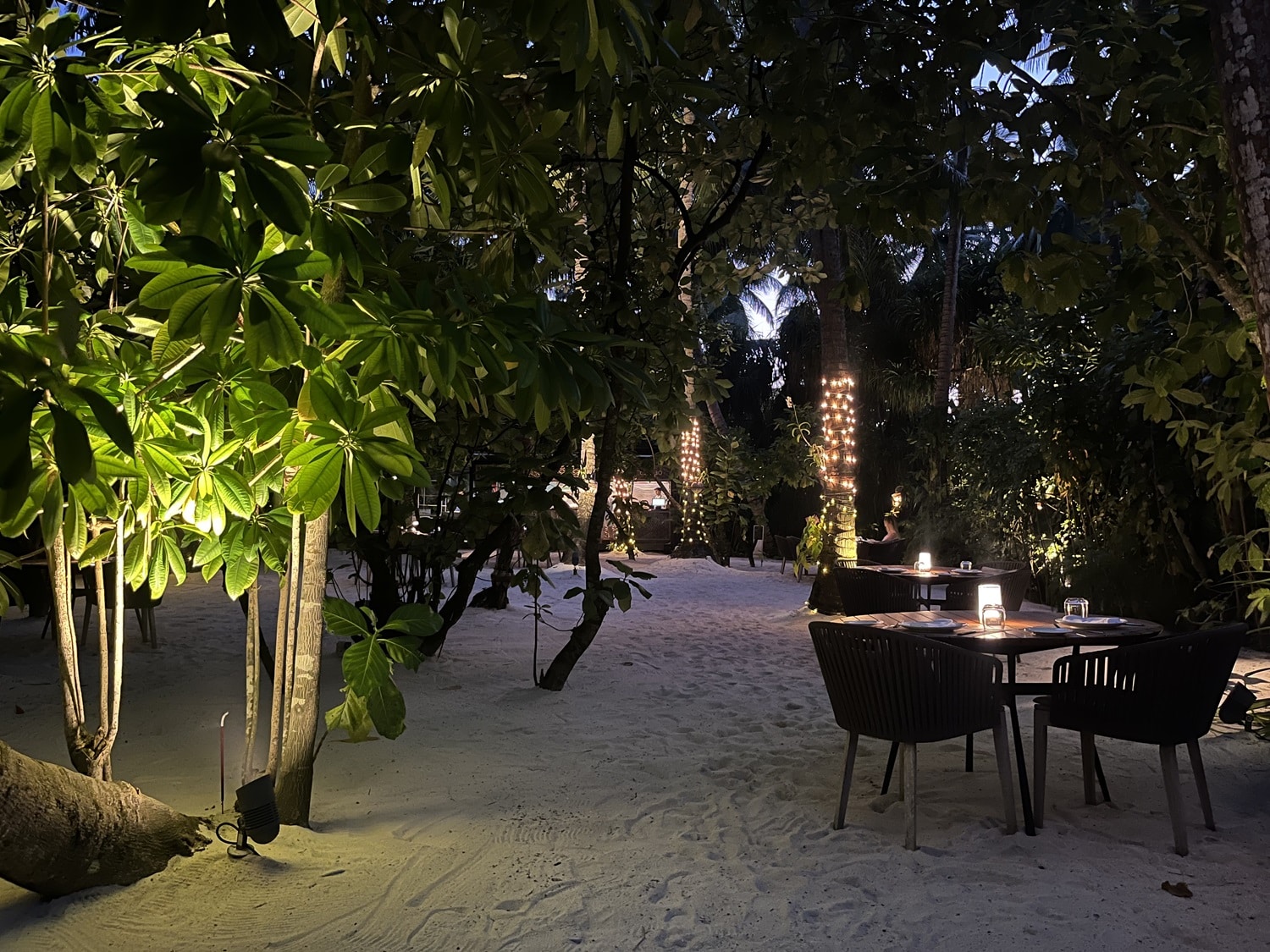 st regis maldives vommuli resort cargo restaurant seating