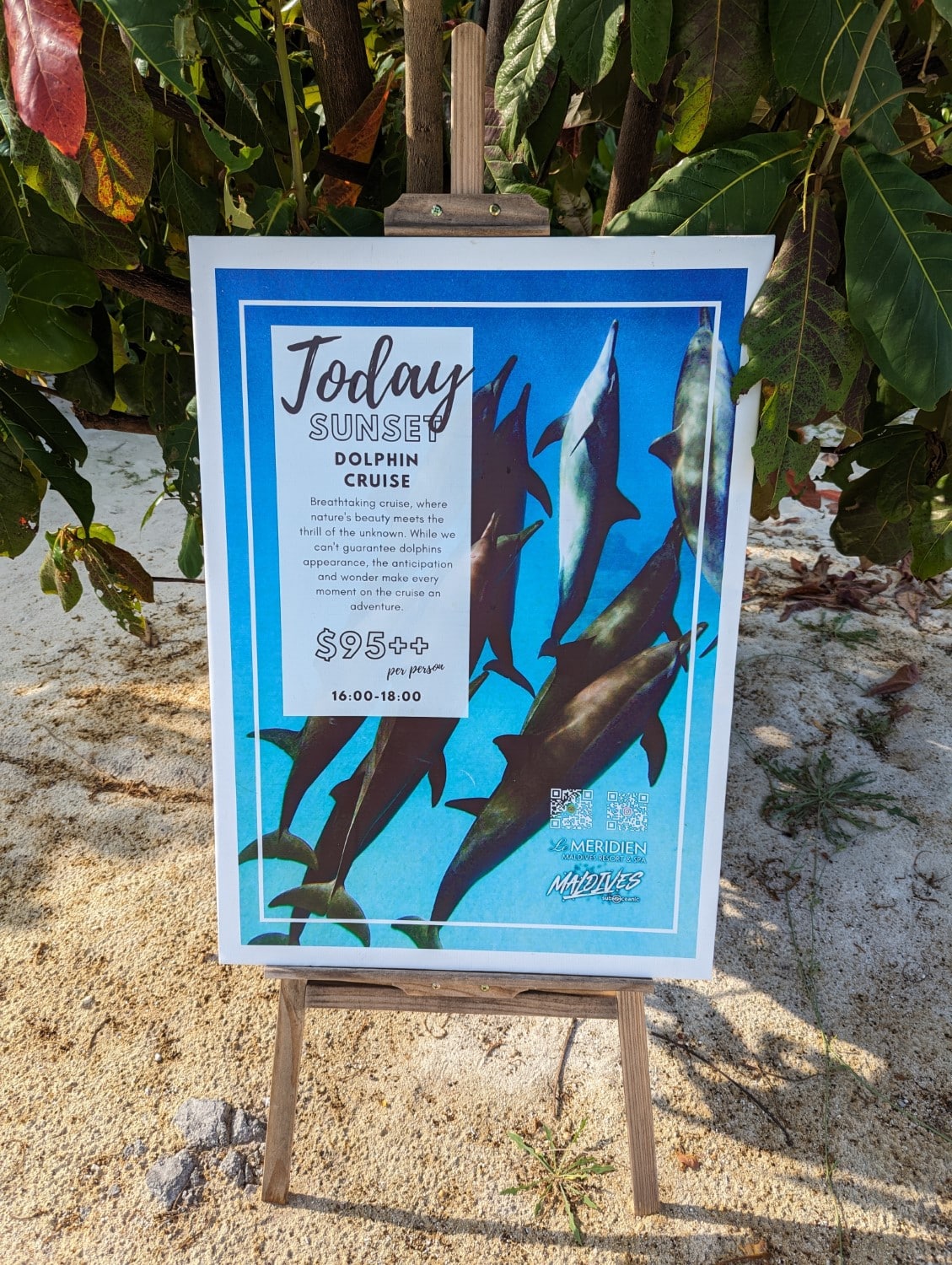 le meridien maldives resort & spa sunset dolphin cruise poster
