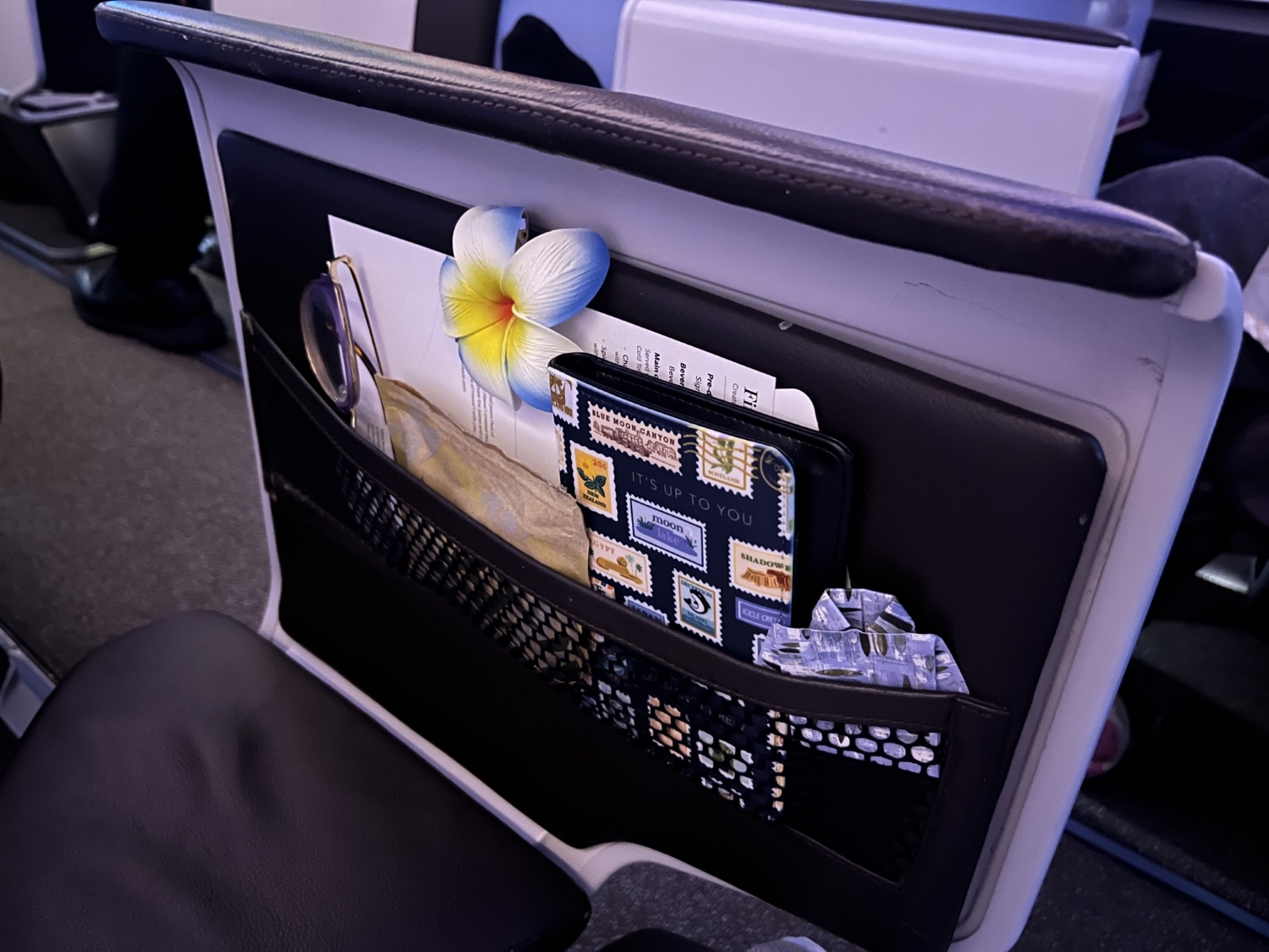 hawaiian airlines business class a330 seatback mesh storage