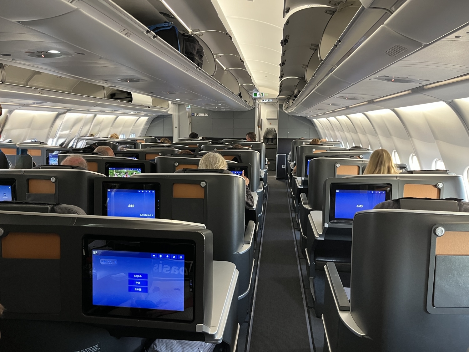sas business class a330 cabin overview