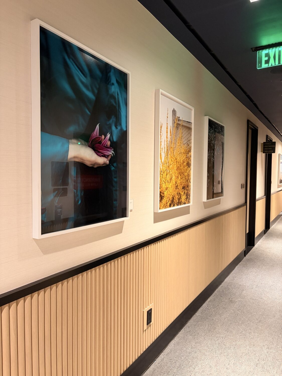 chase sapphire lounge boston airport artwork in hallway