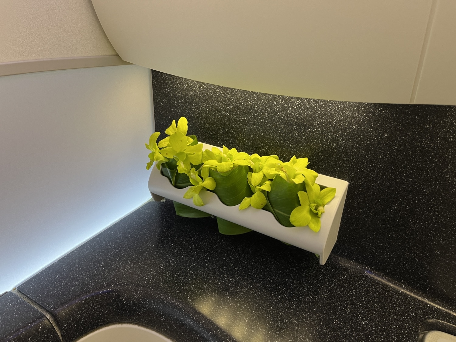 hawaiian airlines first class leihoku suite orchids in bathroom