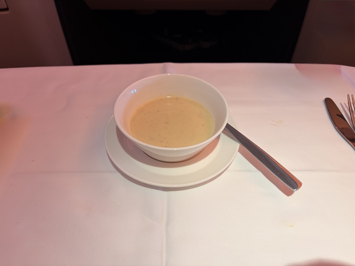 swiss business class a330 cream of celery soup