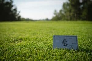 american express platinum card on grass