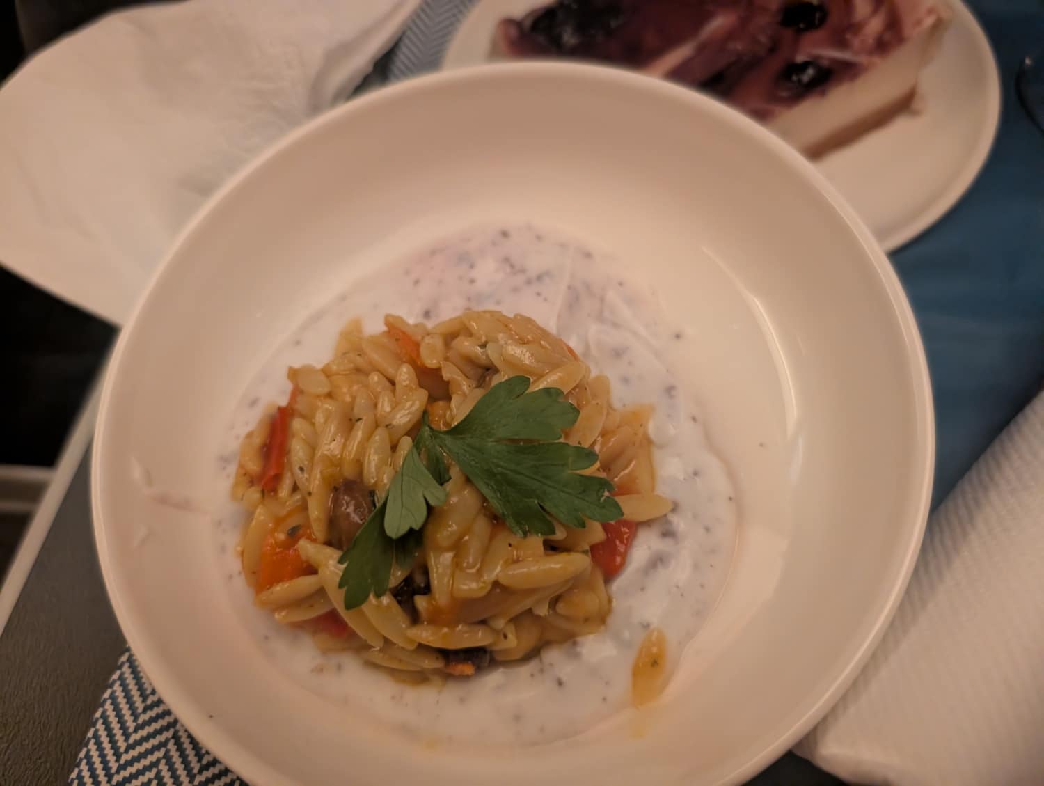 british airways premium economy orzo salad appetizer