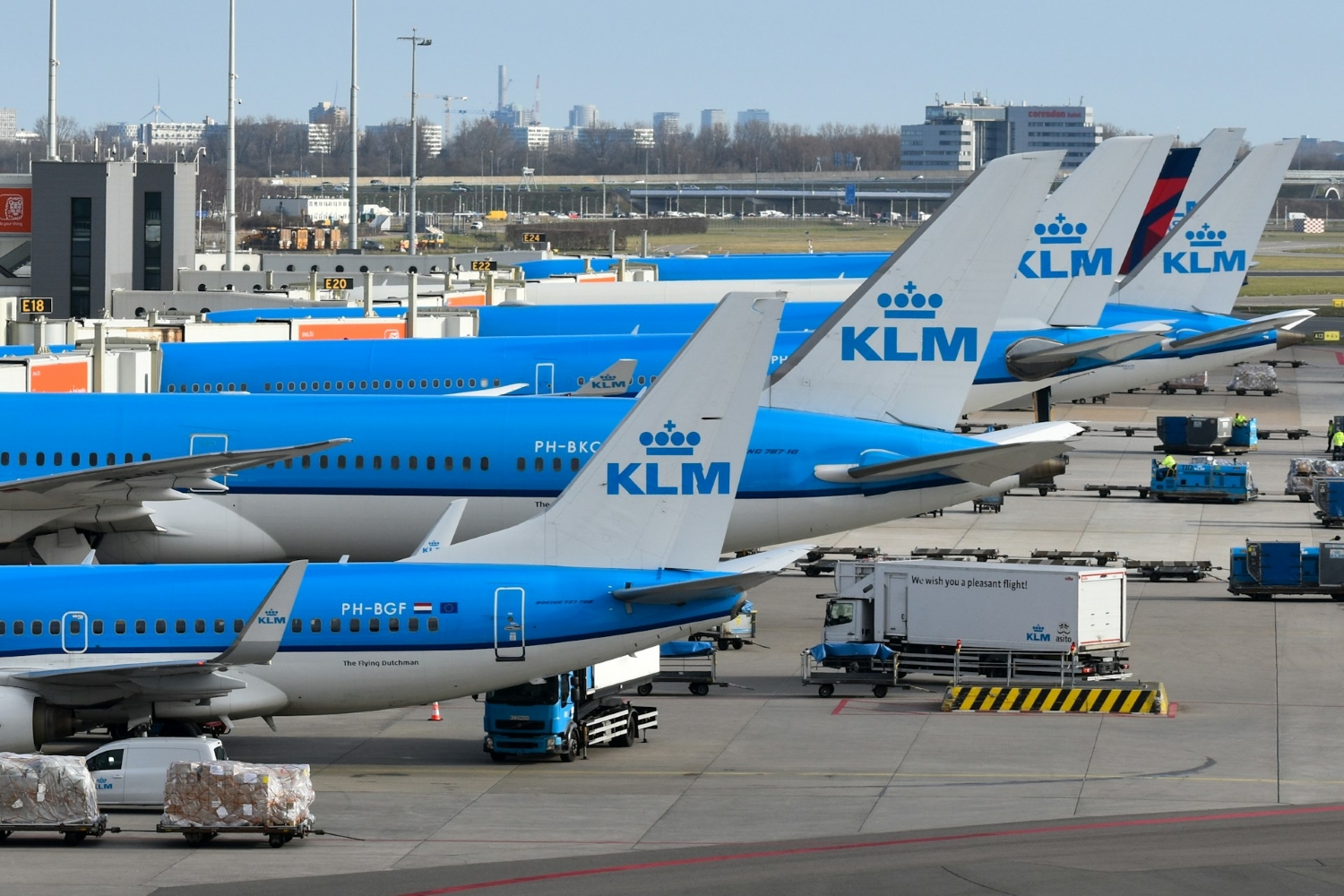 klm aircrafts lined up at gates
