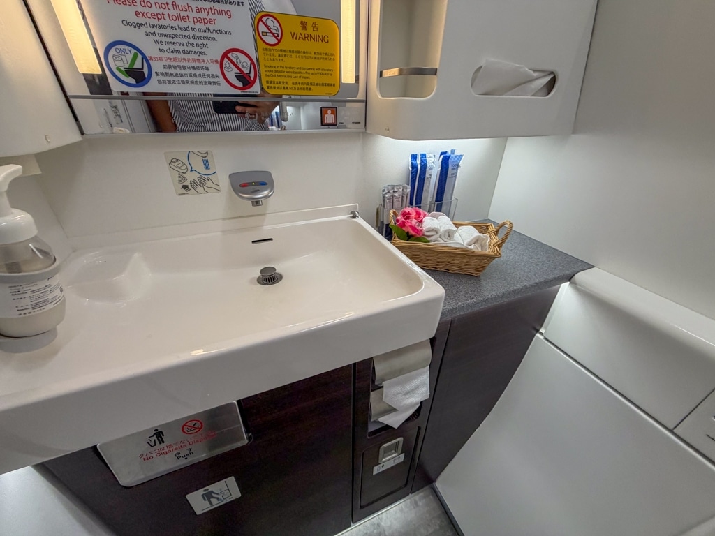 ana the suite first class bathroom