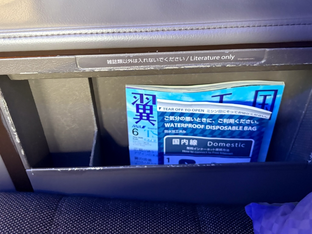 ana the suite first class literature pocket