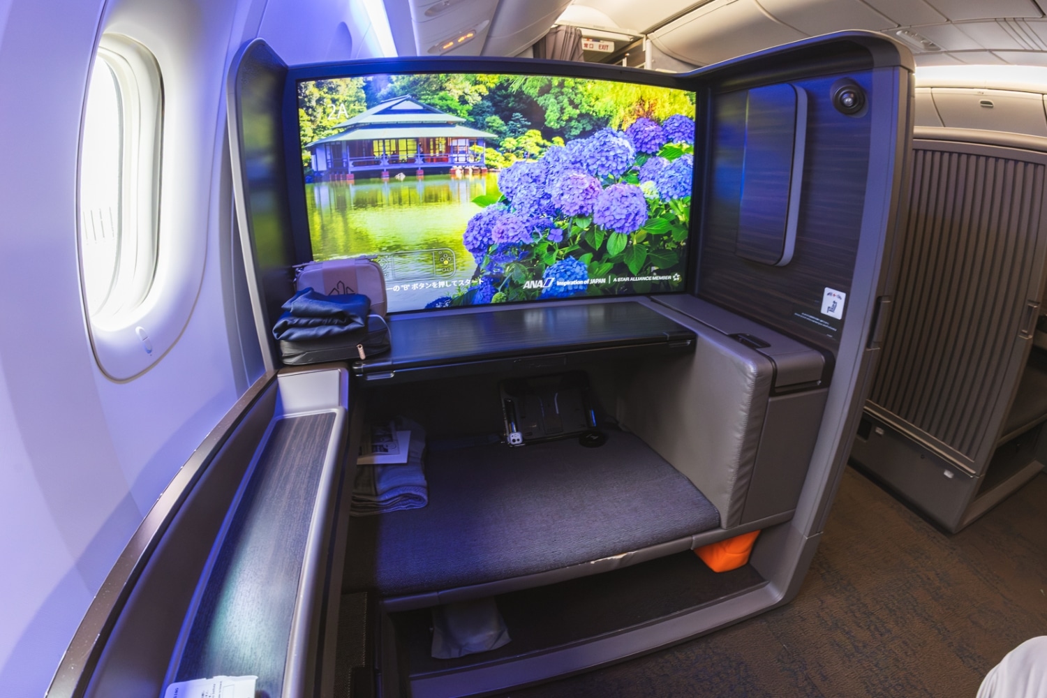 ana the suite first class view of entertainment console