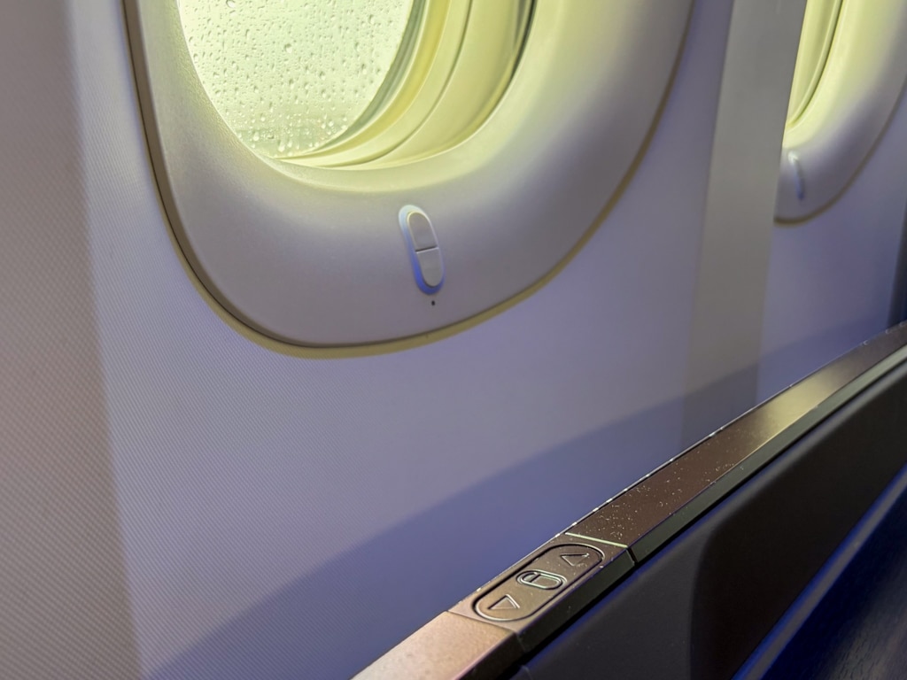 ana the suite first class window blind controls